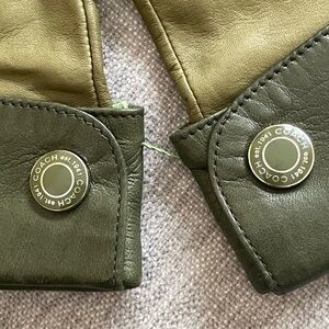 Olive Green Leather Gloves